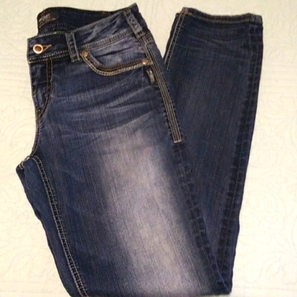 Silver Jeans Blue Skinny Jeans, VGUC